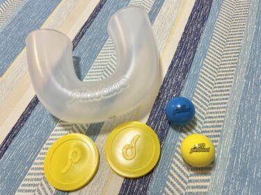 【ちらっとレビュー】スキルトイ「ピンダルー」