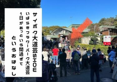 サイボク&フラパ大道芸 | 1日があっという間に終わってしまったってはなし