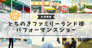 今年の東京ドイツ村イルミネーションはイベントが盛りだくさん！