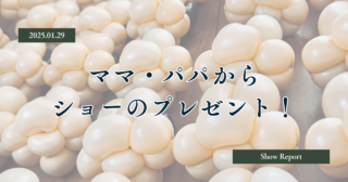 保育園お楽しみ会へ！ママ・パパからのショーのプレゼント